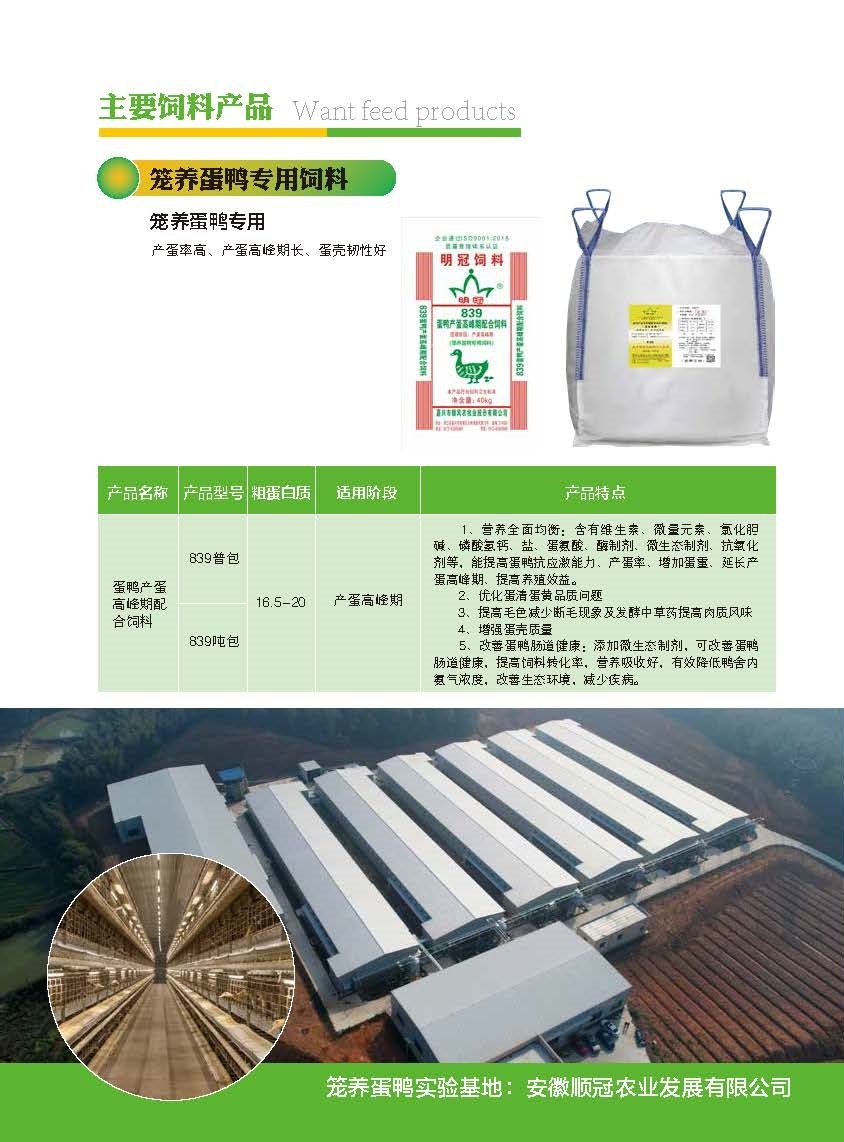 明冠宣傳冊(cè)定稿小格式 (6) - 副本